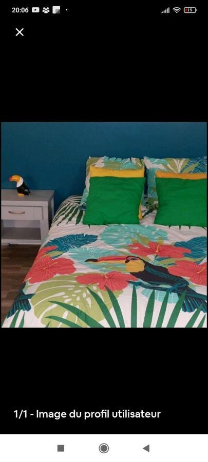 Bed and Breakfast Happy Шоле Экстерьер фото